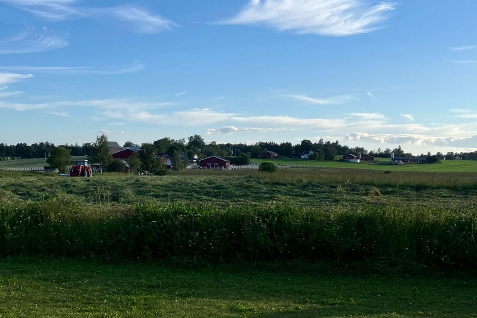 Selges private bilder Galleribilde