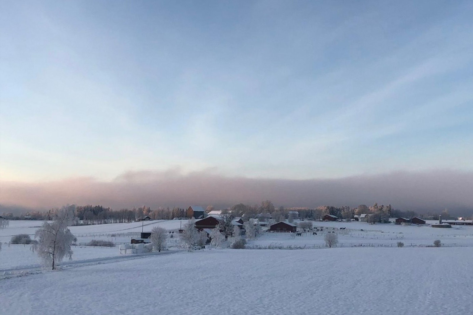 Selges private bilder Galleribilde