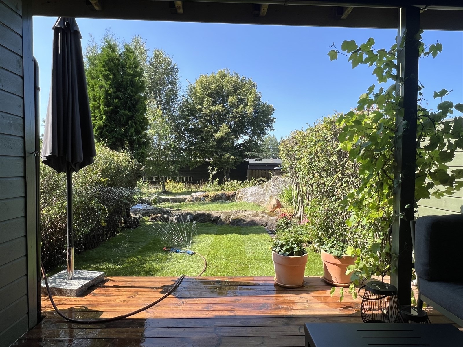 Sommerbilde tatt av selger. Galleribilde