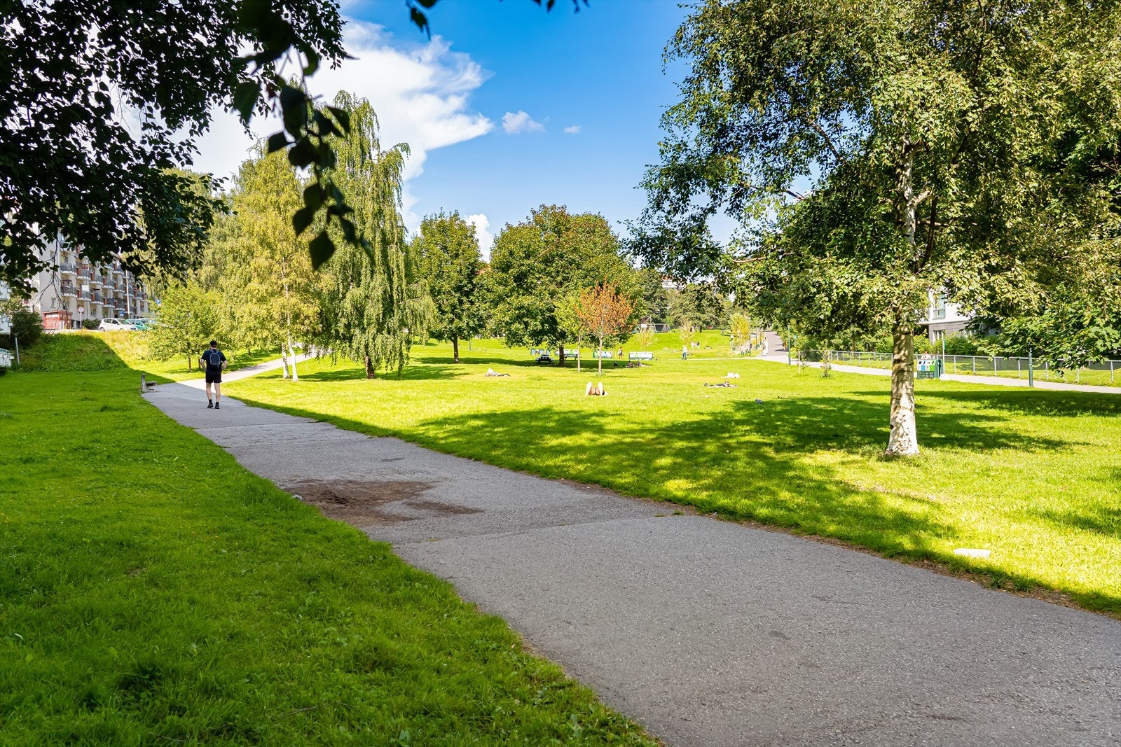 Sommer i Iladalen park! Galleribilde