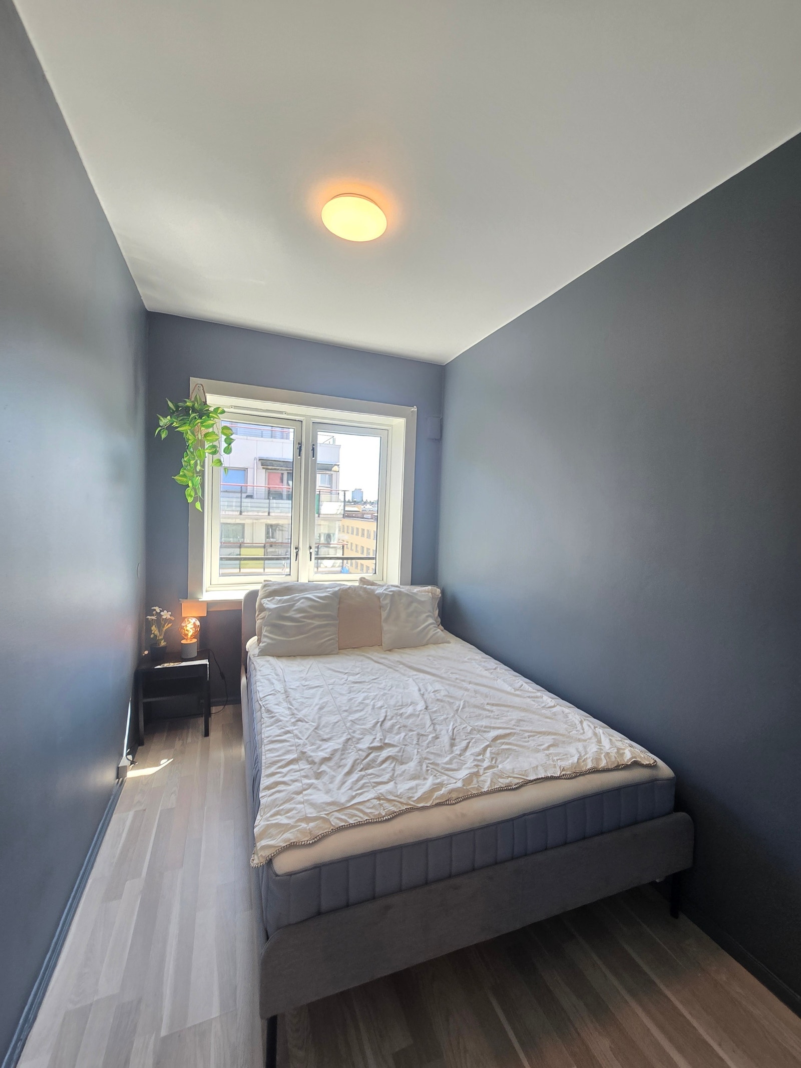 Bilder fra 2025 Galleribilde