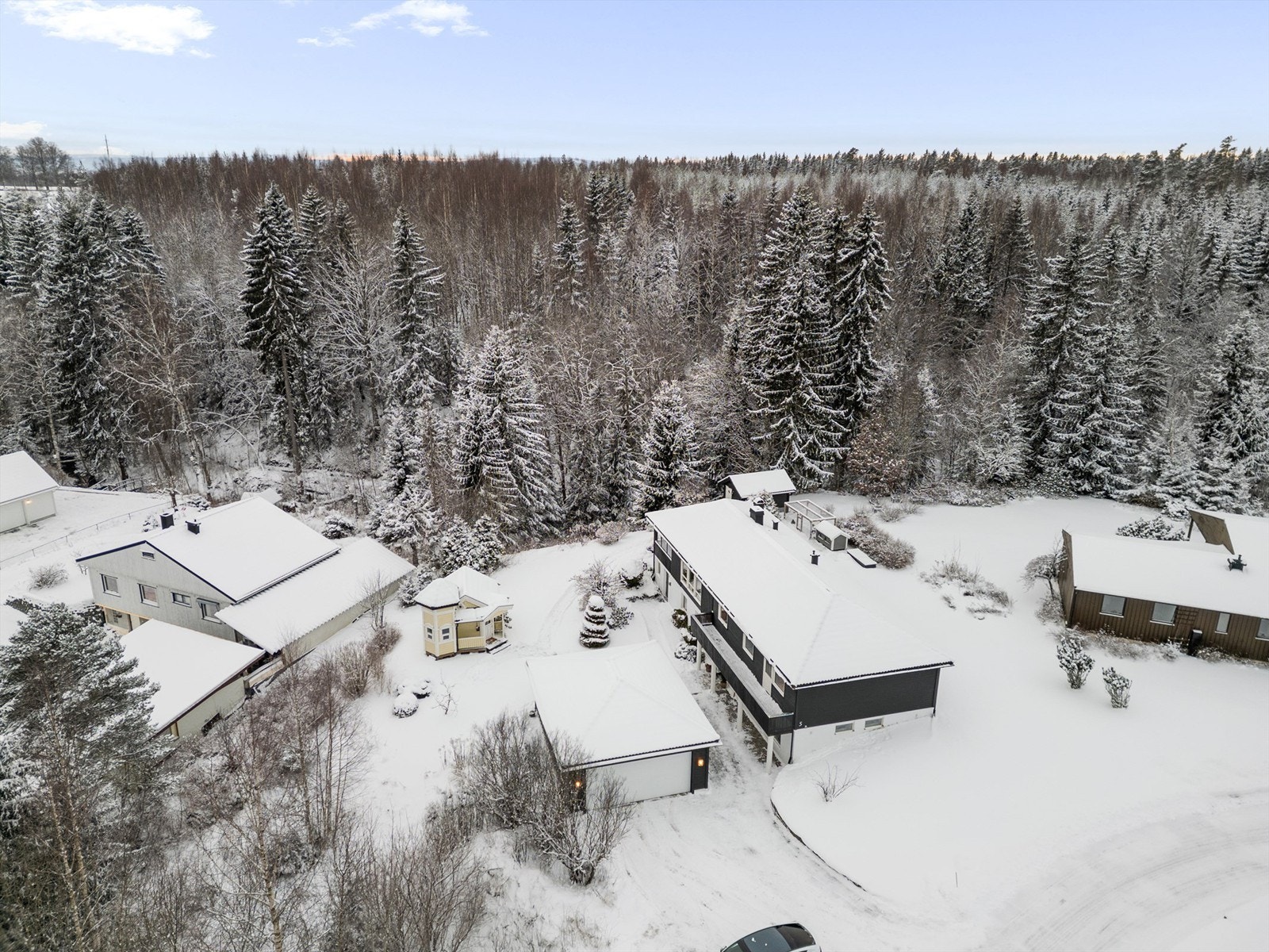 Dronefoto Galleribilde