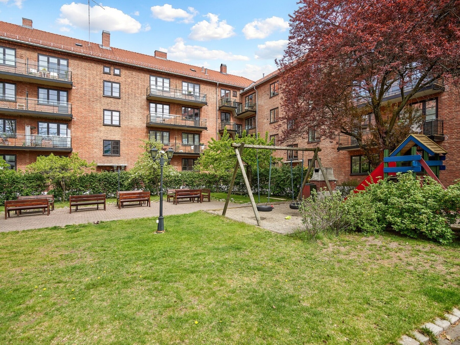 Sommerbilde av bakgården. Galleribilde