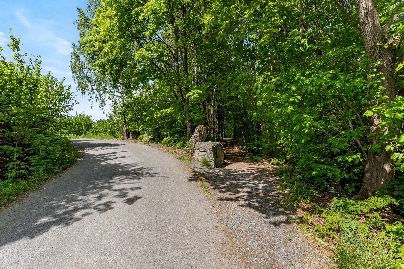 Inngangen til naturreservat i umiddelbar nærhet til huset. Stien her er korteste vei til skolen. Galleribilde