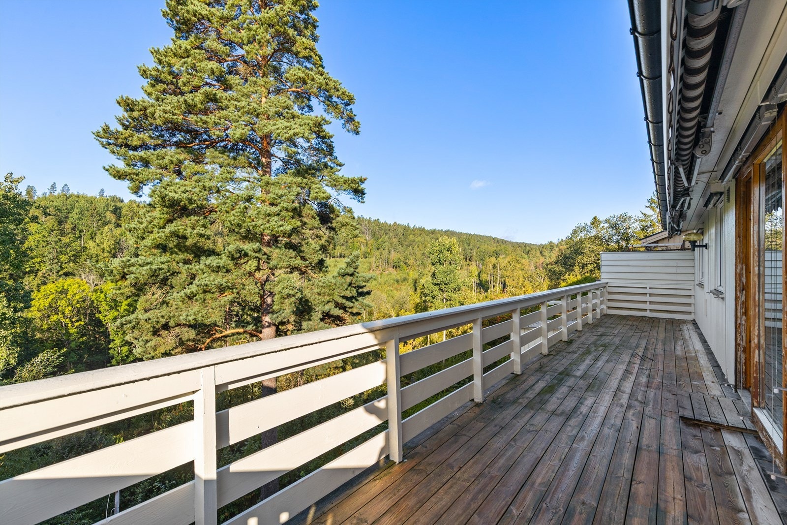 Eneboligen er omgitt av grønne omgivelser og har flere store uteplasser. Galleribilde