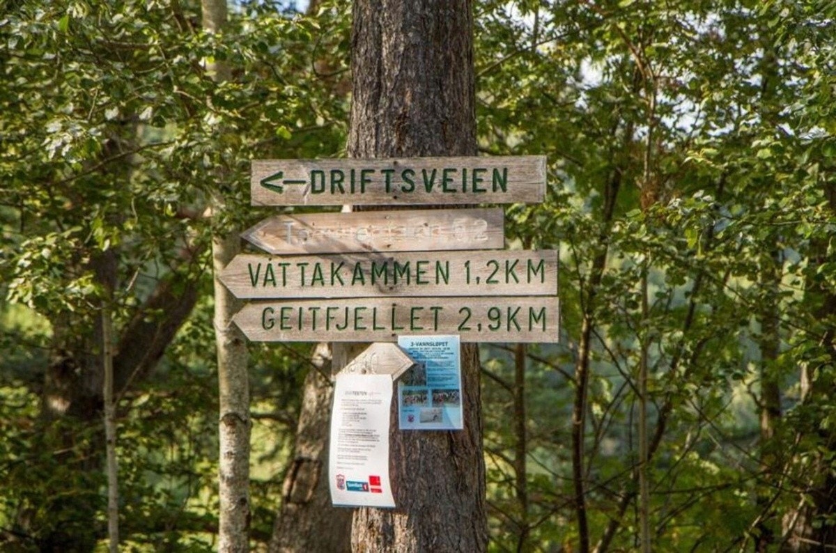 Stier opp til bymarka finner du også i umiddelbar nærhet til leiligheten Galleribilde