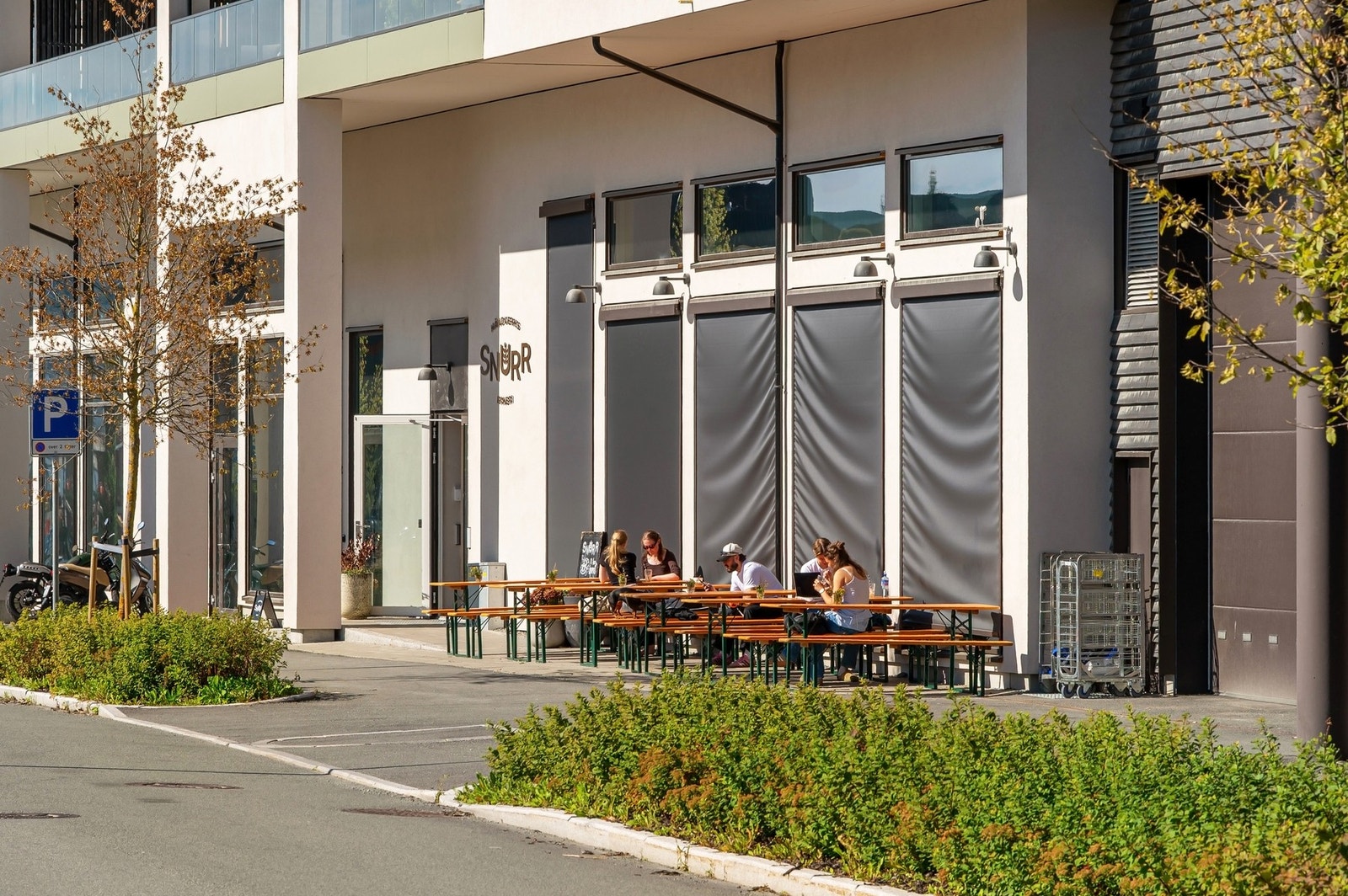 Snurr - nærmeste nabo og et populært møtested i nabolaget. Galleribilde