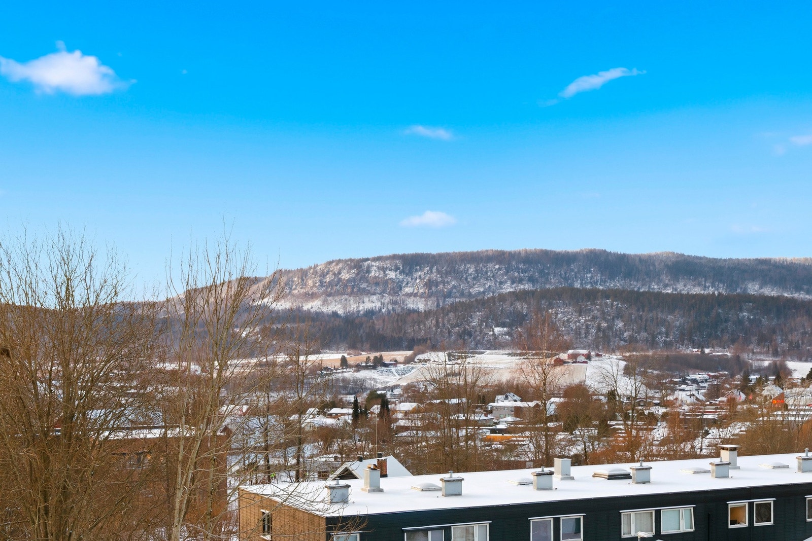 Fantastisk utsikt. Galleribilde