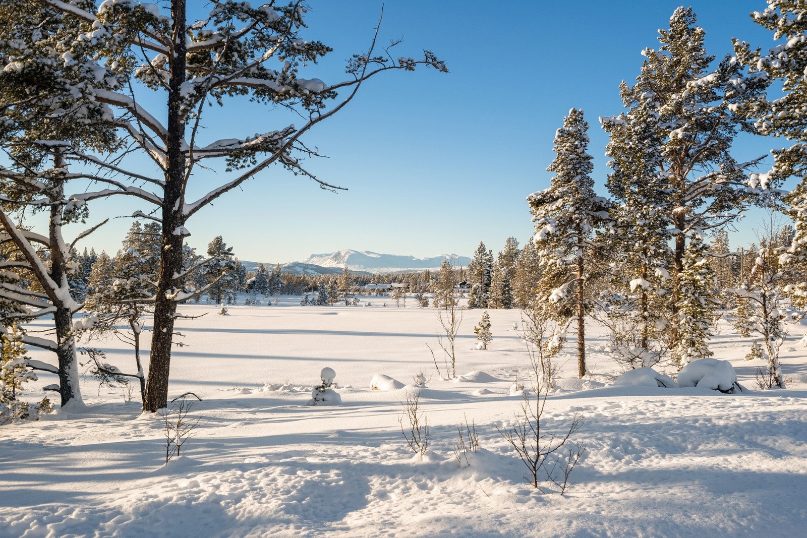 I samme området finnes blant annet Stølsvidda og Golsfjellet, to eksempler på attraktive tur- og friluftsområder med et godt etablert sti- og skiløypenett. Galleribilde
