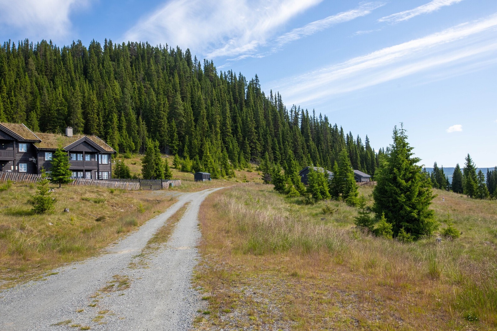 Det er etablert vei gjennom tomtefeltet. Kjøper på selv bekoste stikkvei og parkering på egen tomt. Galleribilde