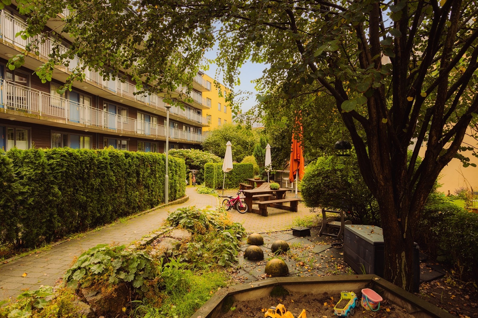 Borettslagets bakgård er en grønn oase på sommerstid. Galleribilde