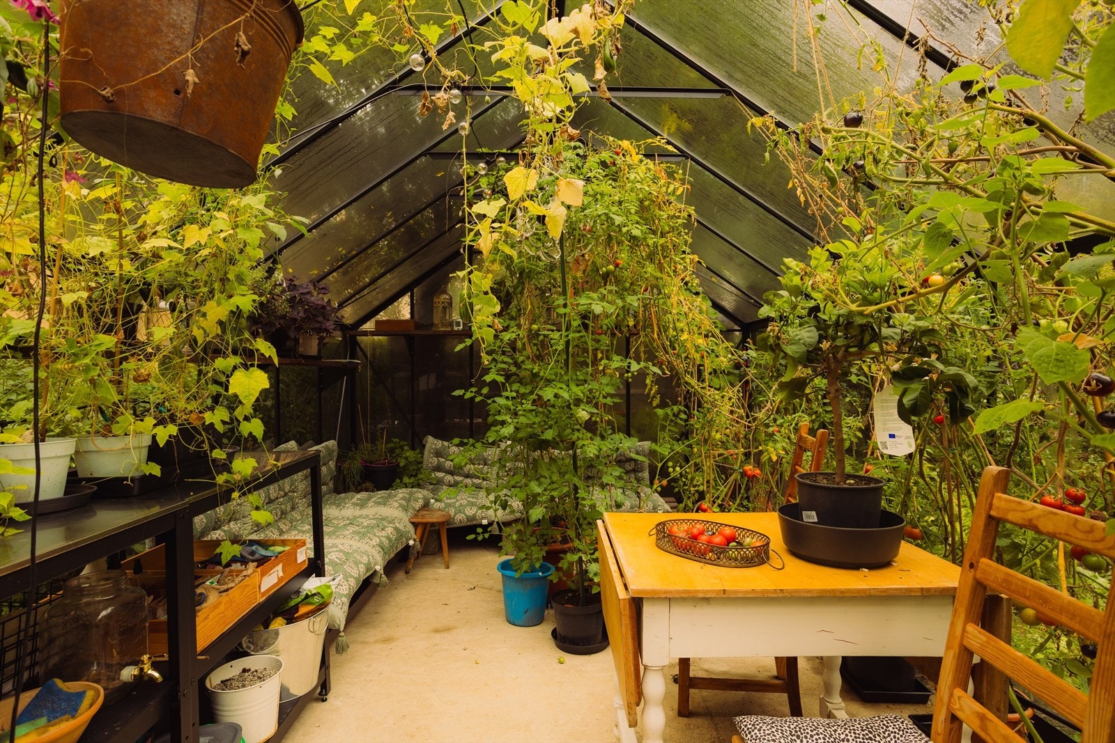 Drivhus i bakgården med sittegrupper og mulighet til å gro grønnsaker. Galleribilde