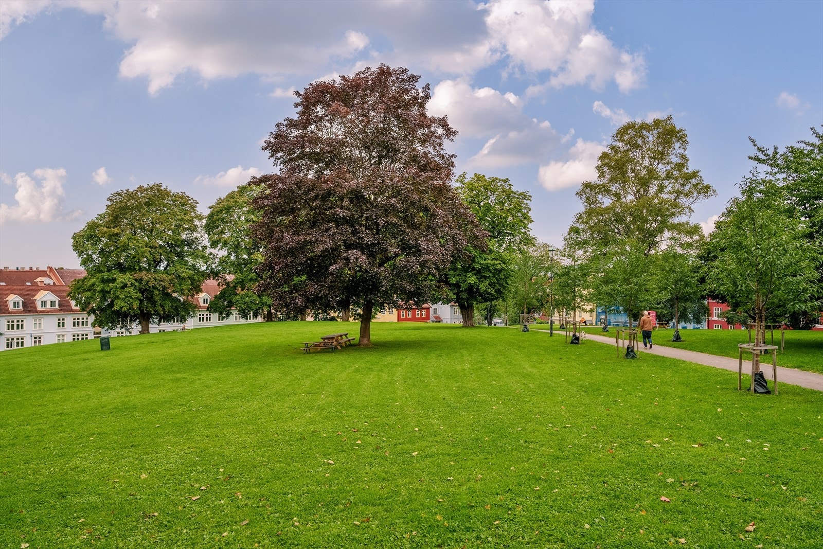 Vålerenga park i nærheten, ideell for hyggelige sommerdager med venner. Galleribilde