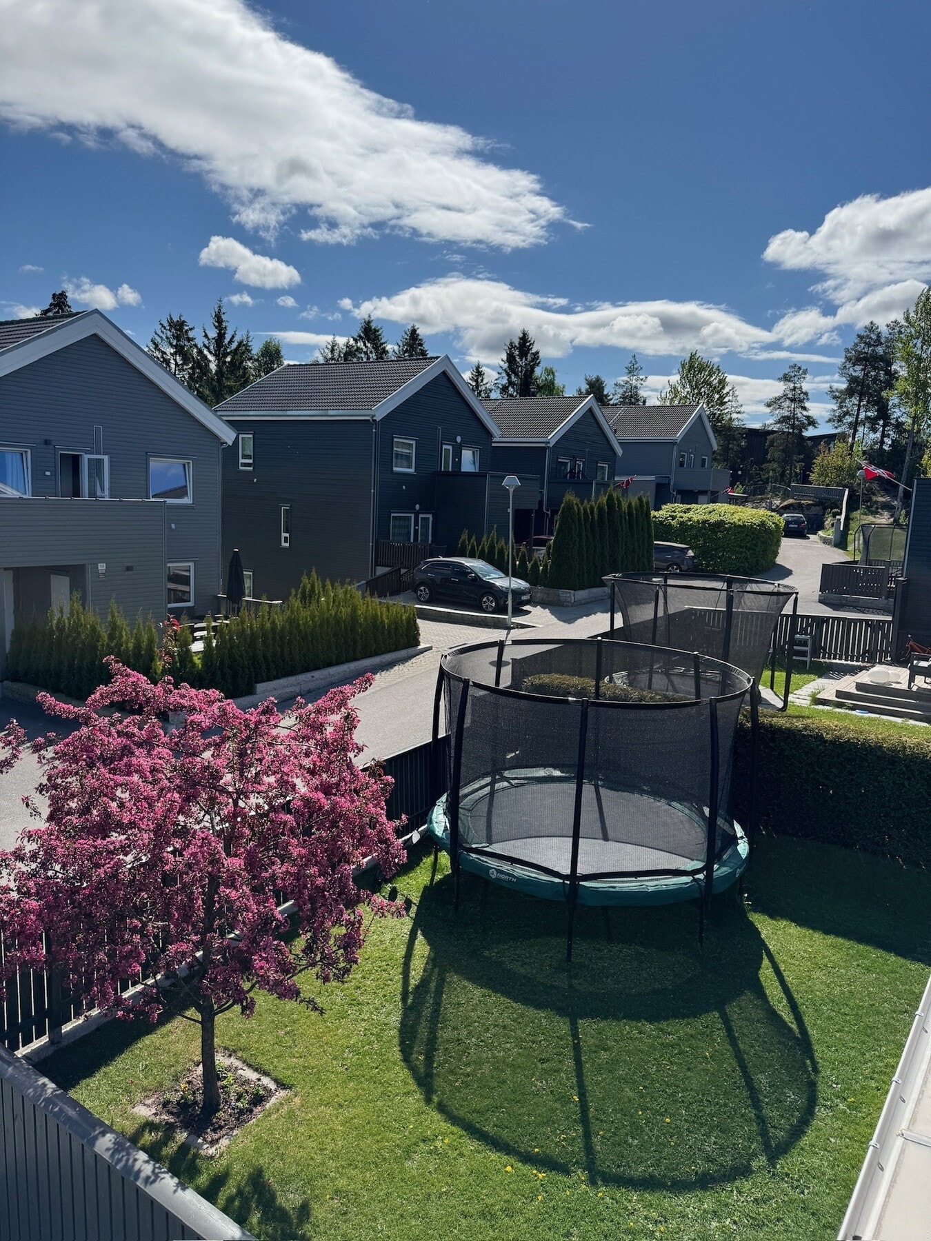 Selgers egne bilder Galleribilde