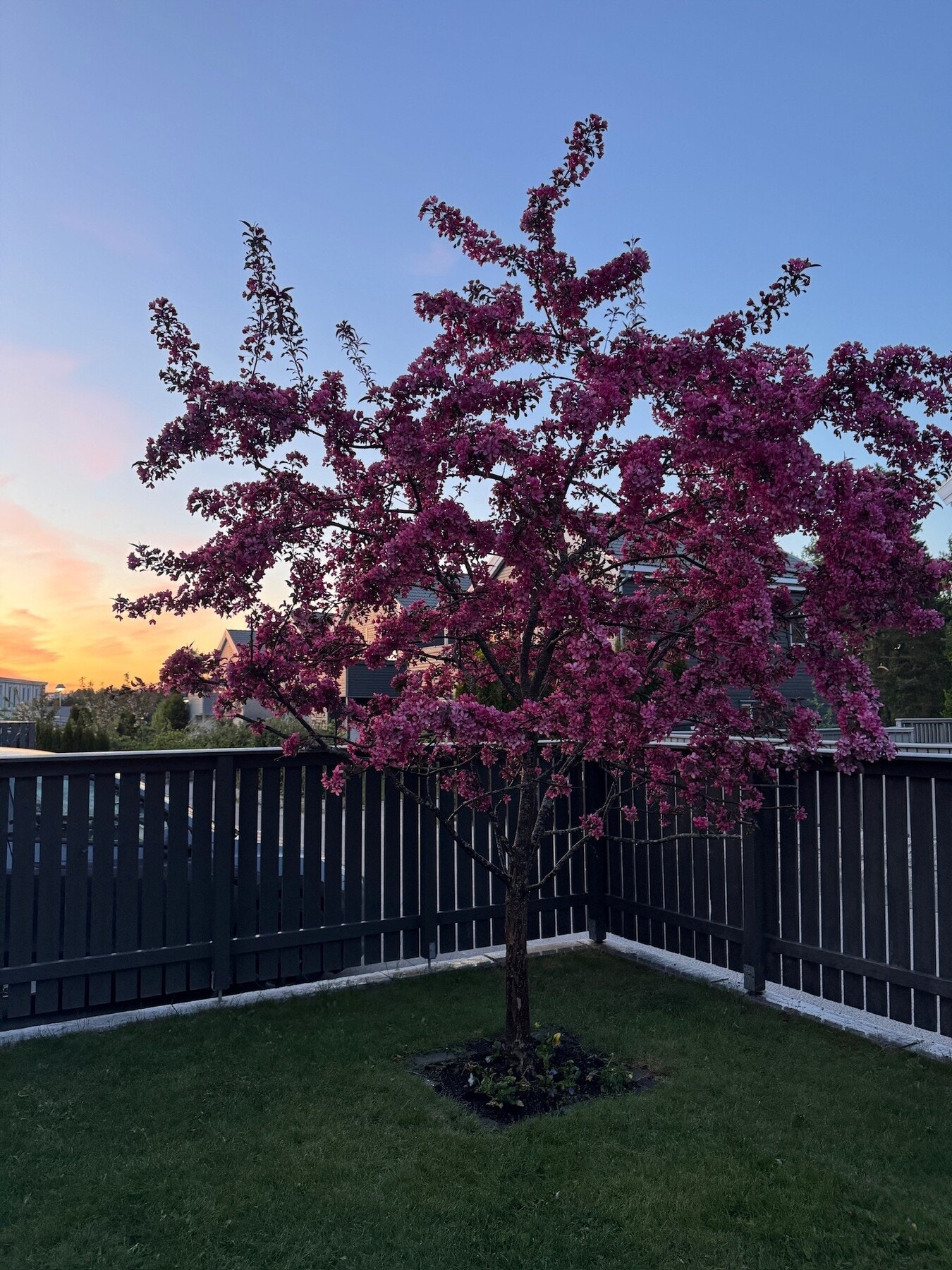 Selgers egne bilder Galleribilde