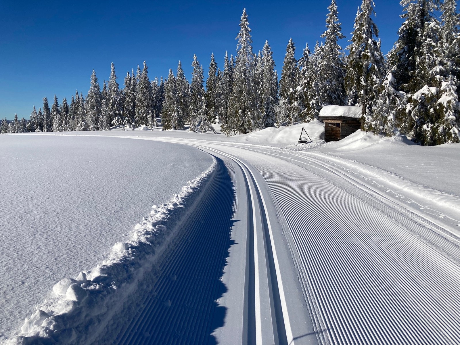 Her kan du gå milevis på ski Galleribilde