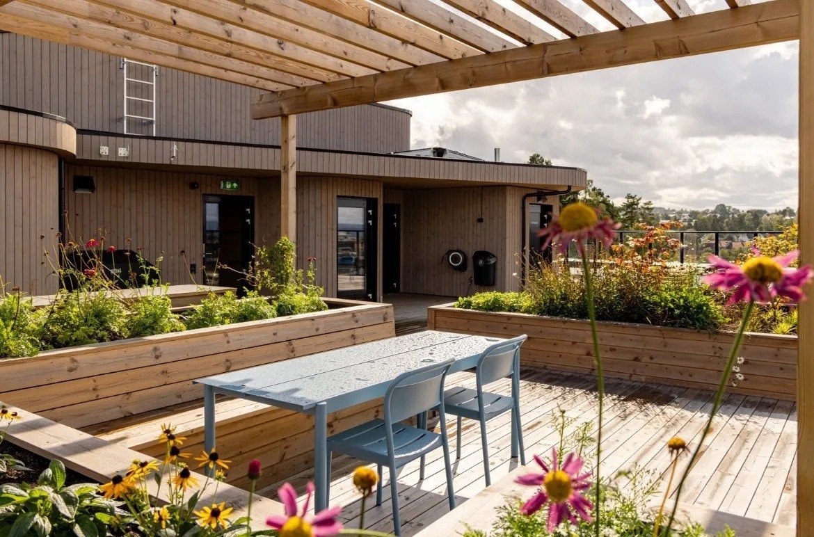 Fin beplantning Galleribilde