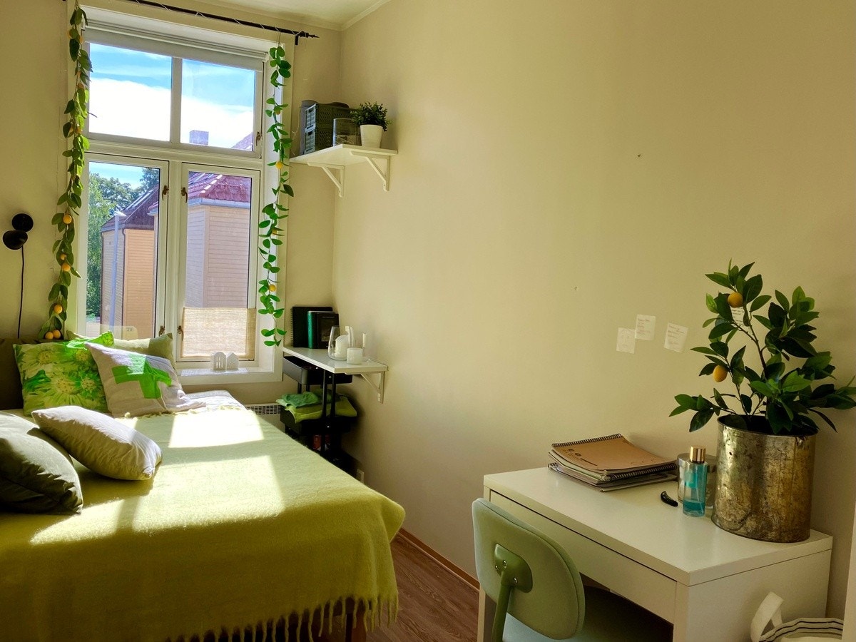 Room 206 Galleribilde