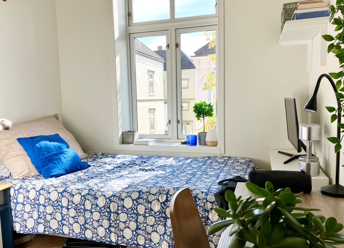 Room 202 Galleribilde