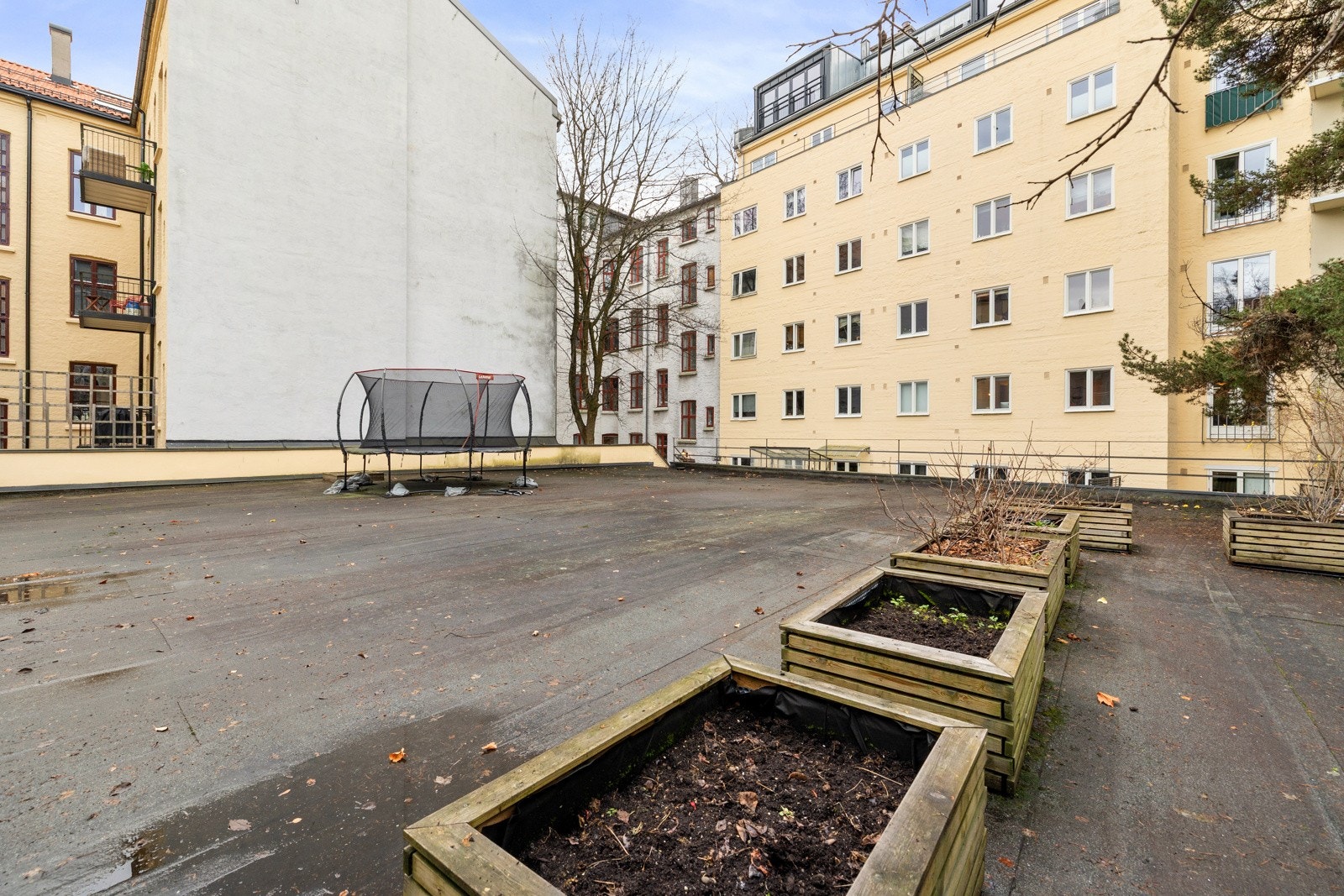 Koselig bakgård. Galleribilde