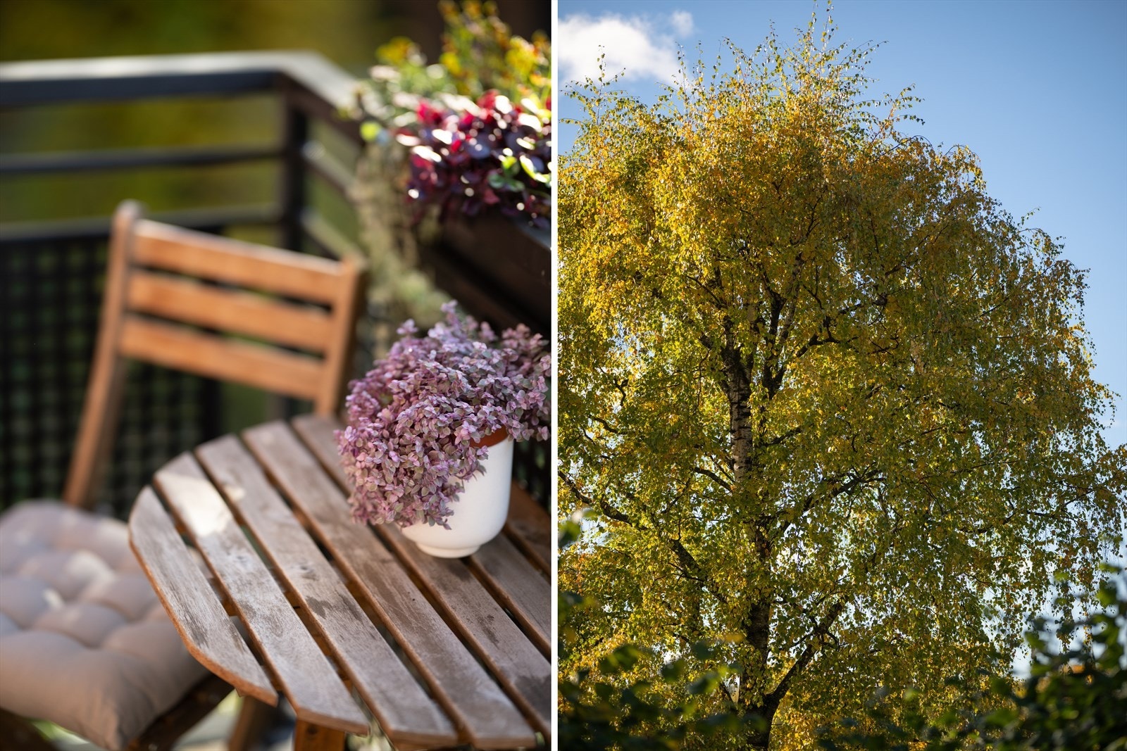 Her kan du nyte late sommerdager med Akerselven som "nærmeste" nabo! Galleribilde