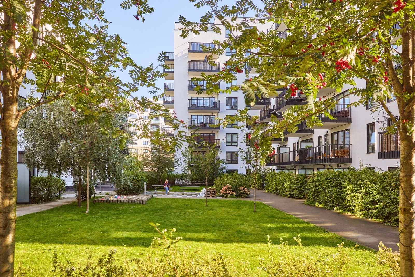 Nydelig og pent beplantet bakgård Galleribilde