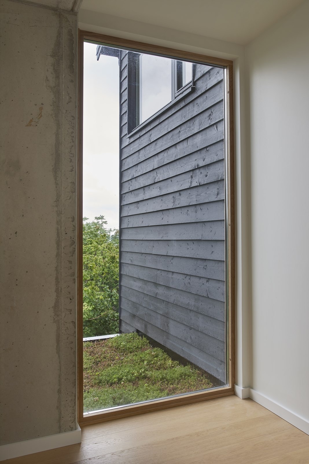 Store vinduer fra gulv til tak med flott utsyn Galleribilde