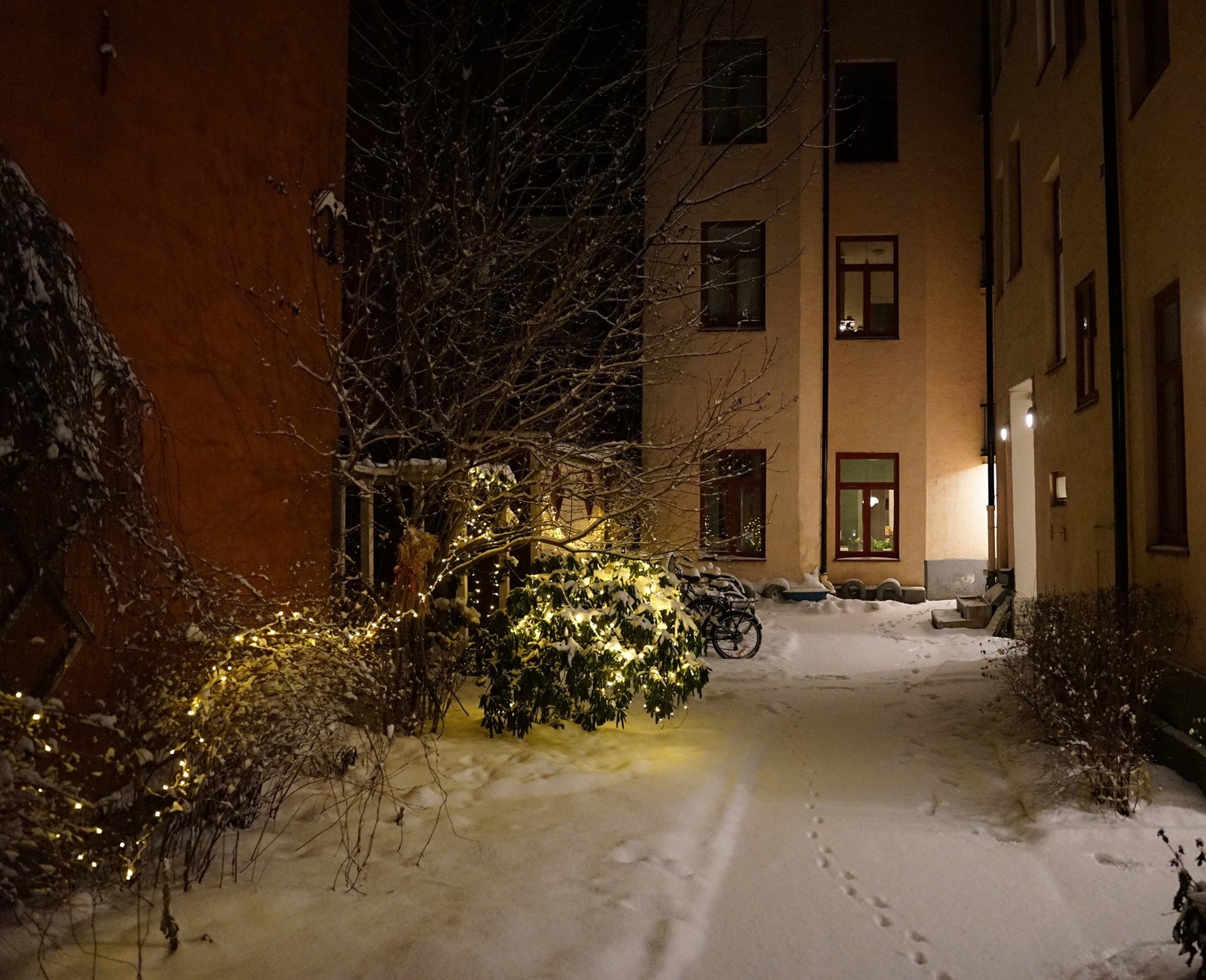 Vinterstid i bakgården. Galleribilde