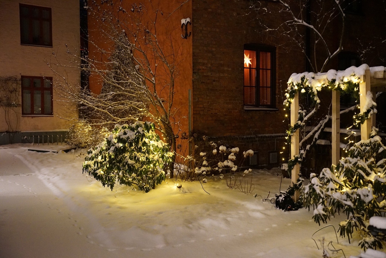 Vinterstid i bakgården. Galleribilde