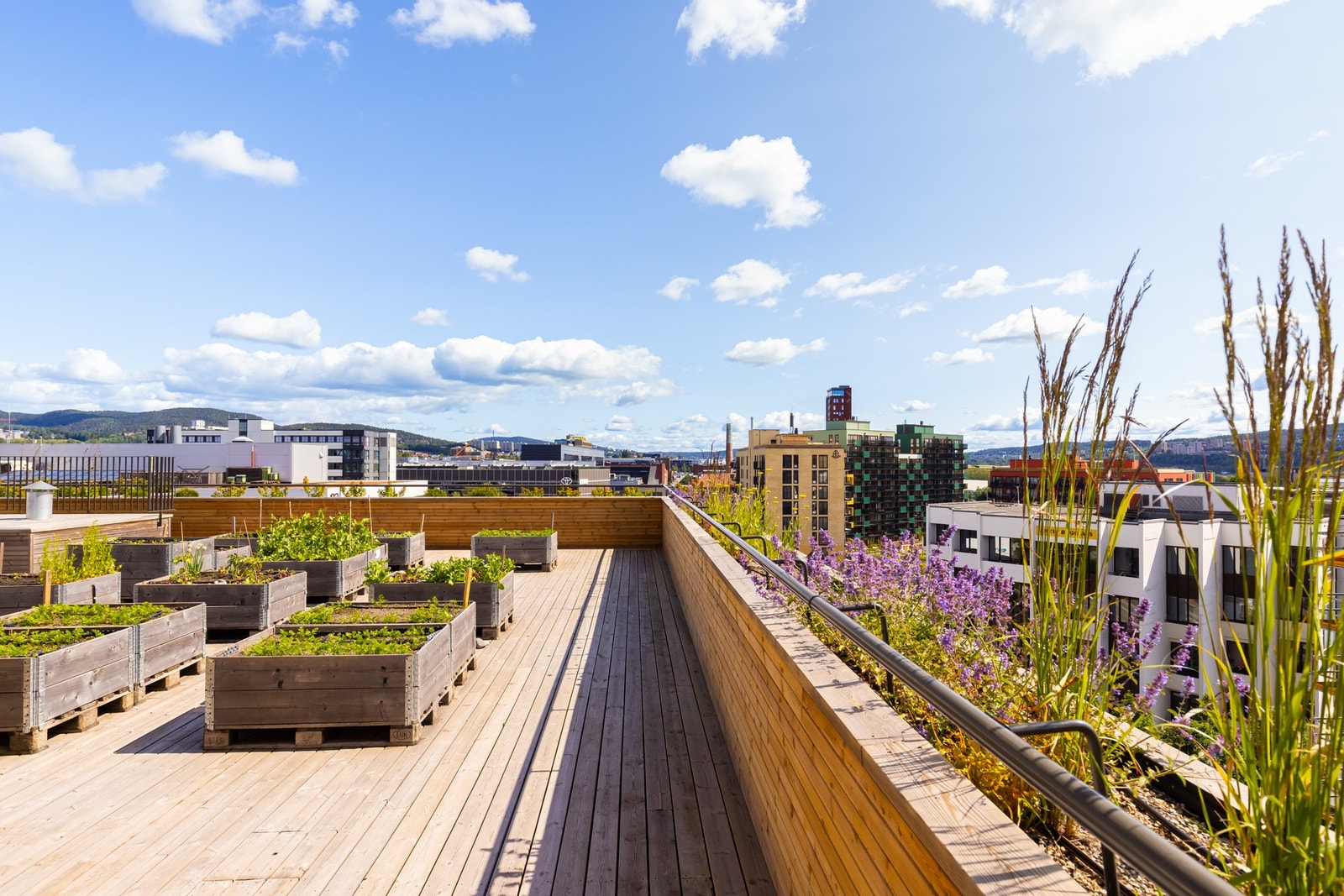 Borettslaget har fire felles takterrasser. Det finnes et lite utekjøkken med vask, samt toalett. Galleribilde