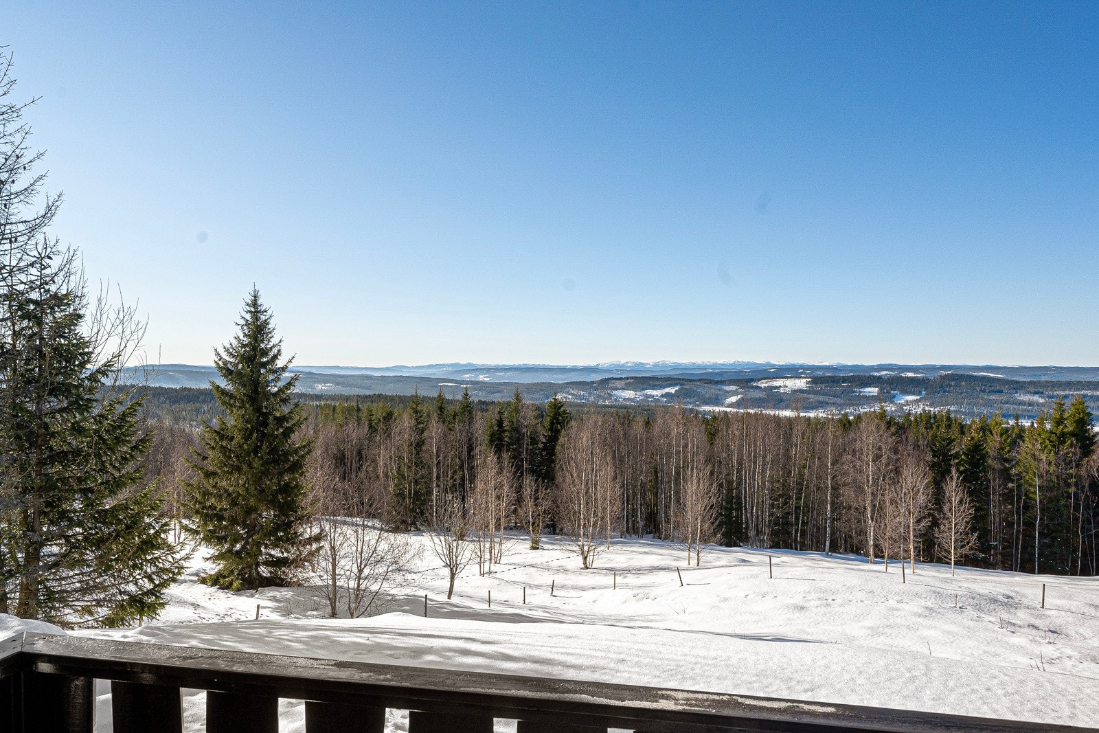 Her kan man nyte solrike dager Galleribilde