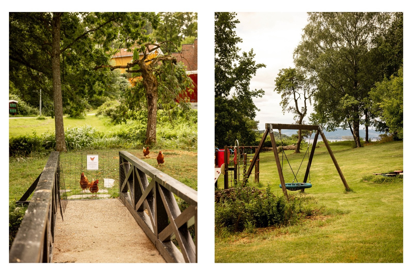 På området finner du både ender og gjess i dammen, samt høner som er skaffet på initiativ av naboer. Galleribilde