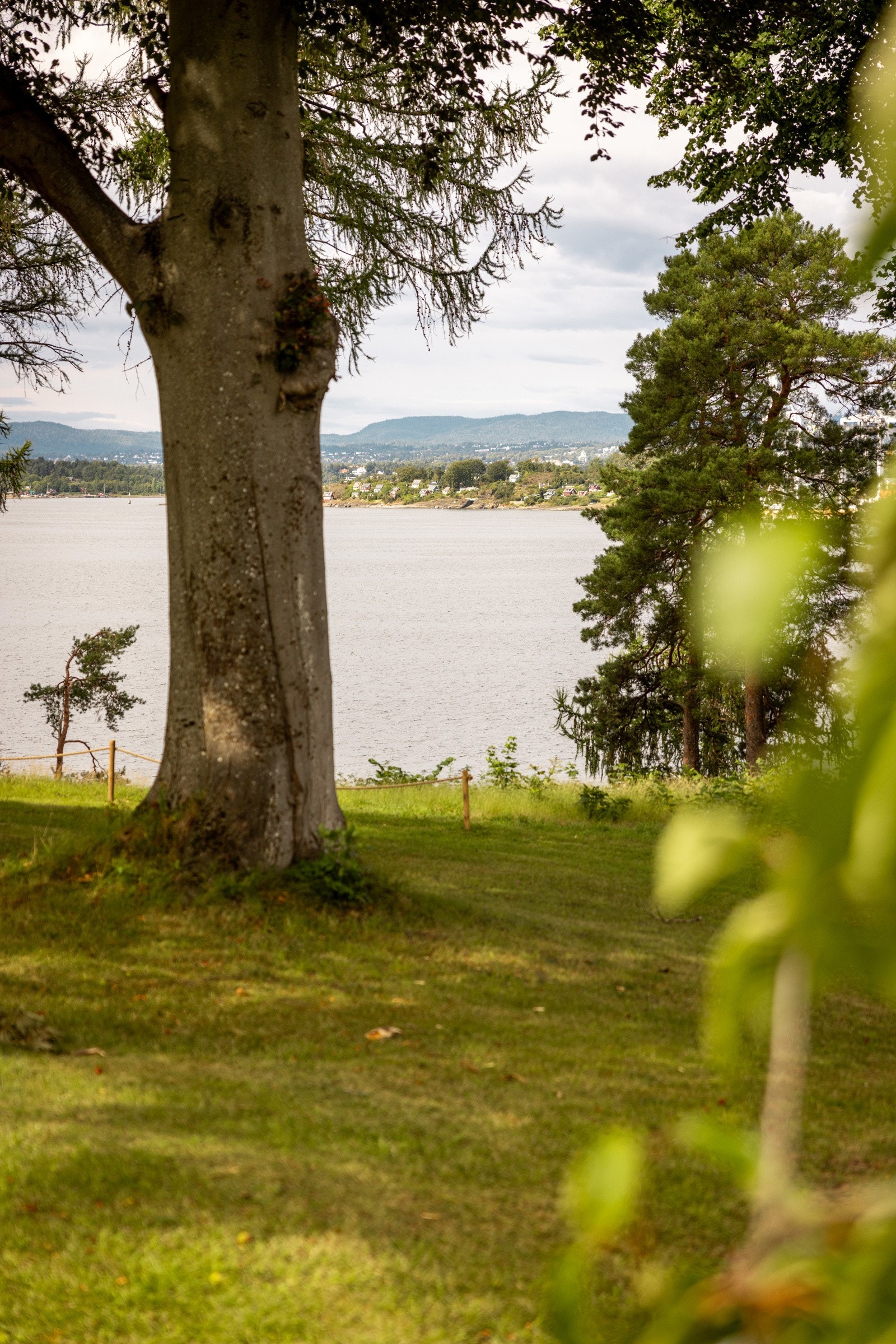 Du har strender, turstier og grønne parker rett utenfor døren. Galleribilde