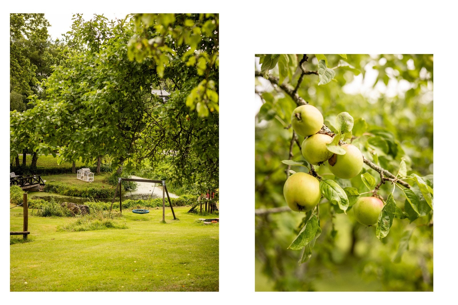 Her er det flere uteplasser og en nydelig hage med frukttrær, bærbusker og blomstrende prydbusker. Galleribilde