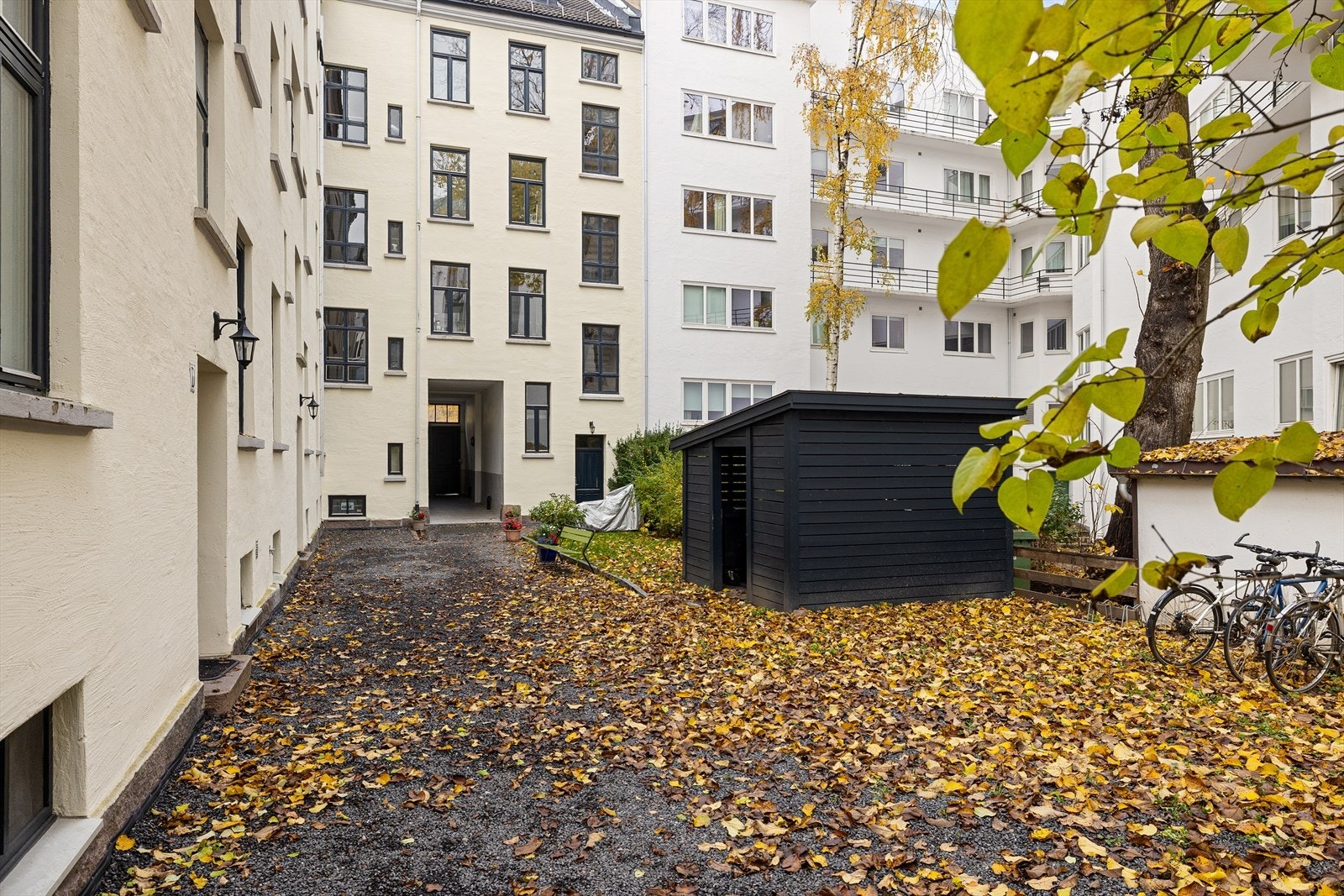 Bakgård. Galleribilde