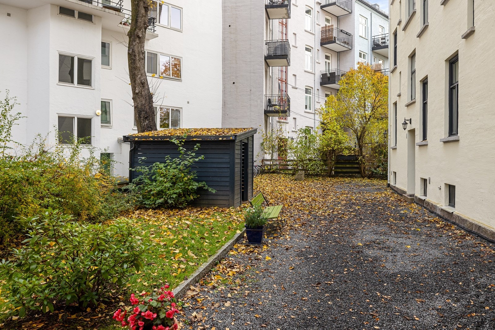 Hyggelig bakgård med sitteplasser, sykkelparkering og søppelskur. Galleribilde