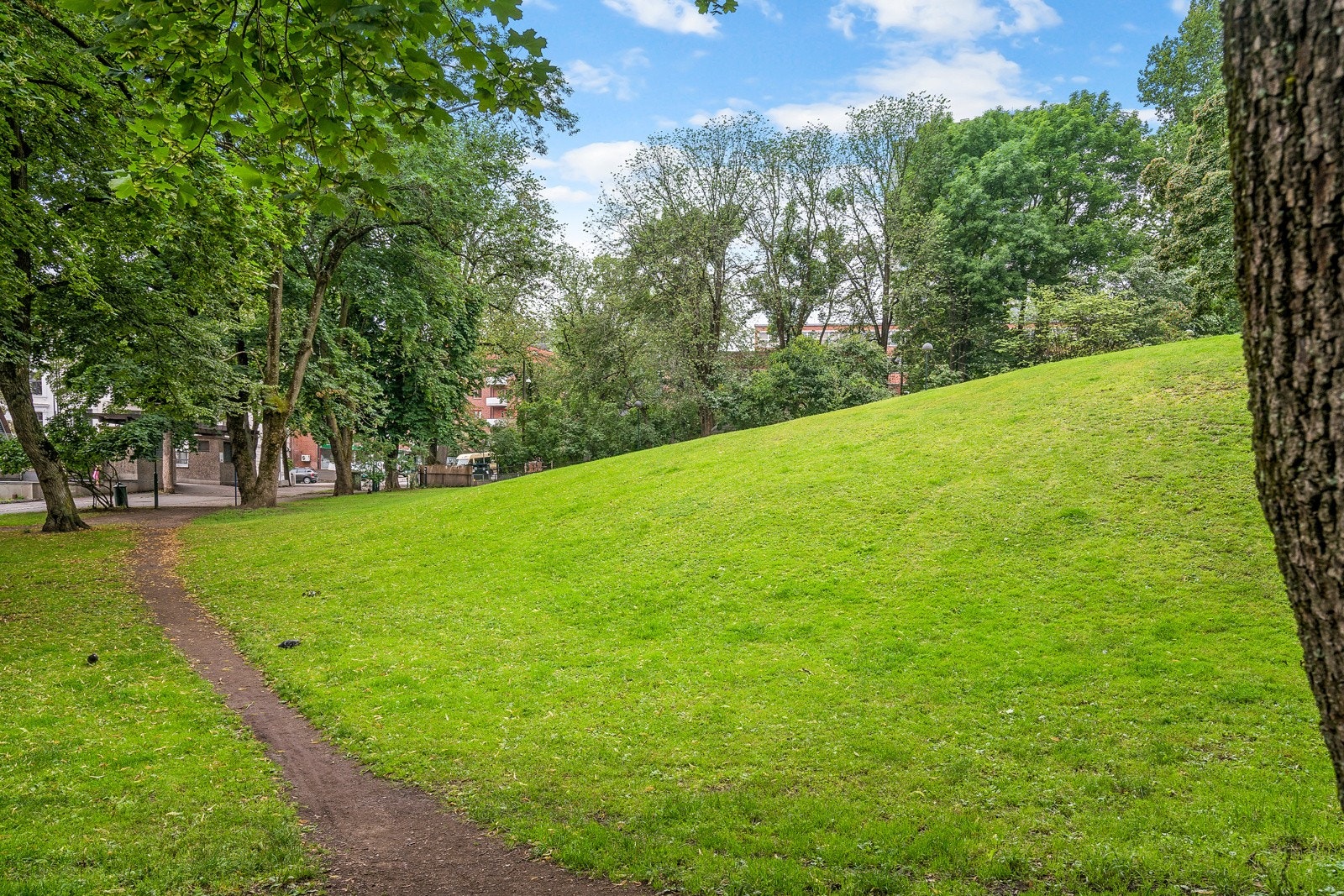 Ankerhagen er en liten og rolig park som ligger kun et par minutters gange fra Parkveien 80. Galleribilde