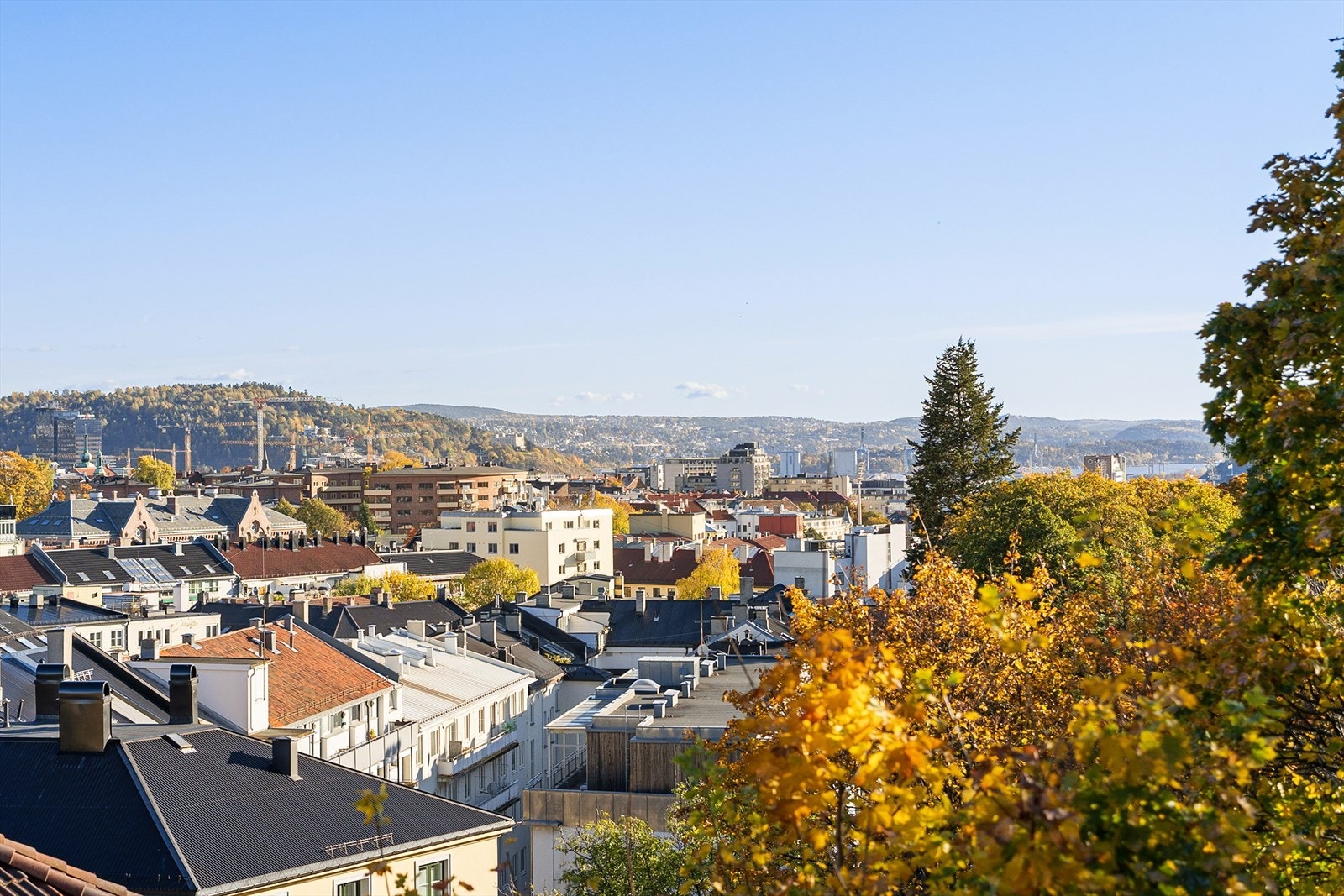 Her kan du se hele byen fra leilighetens vinduer. Galleribilde