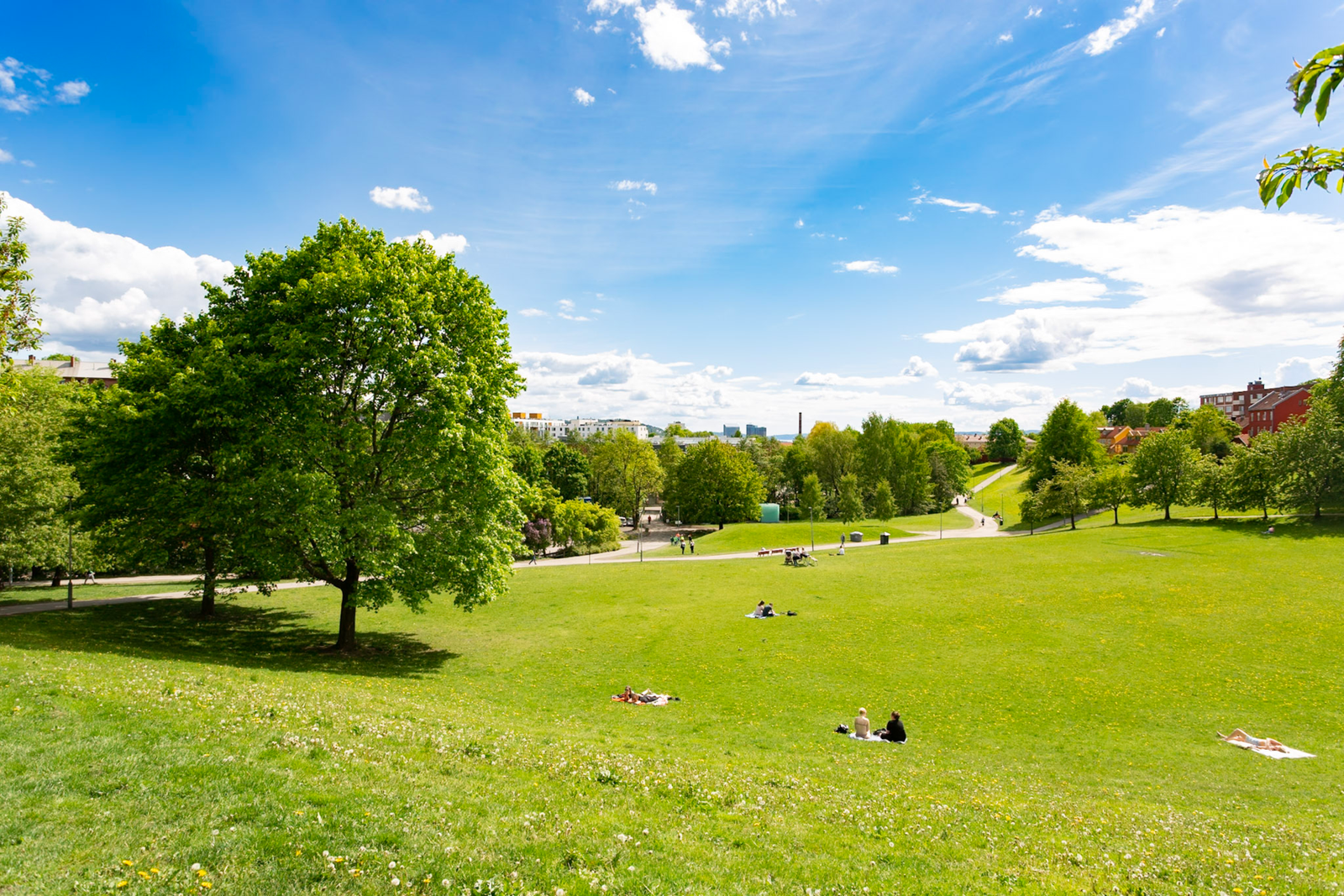 Iladalen ligger like ved. Galleribilde