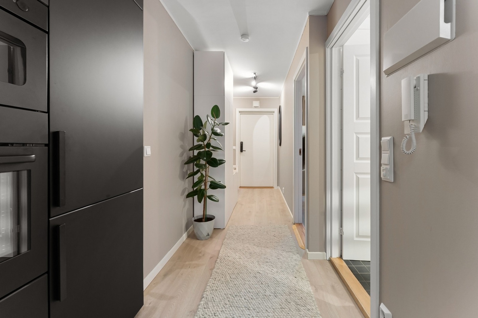 Romslig gang. Galleribilde