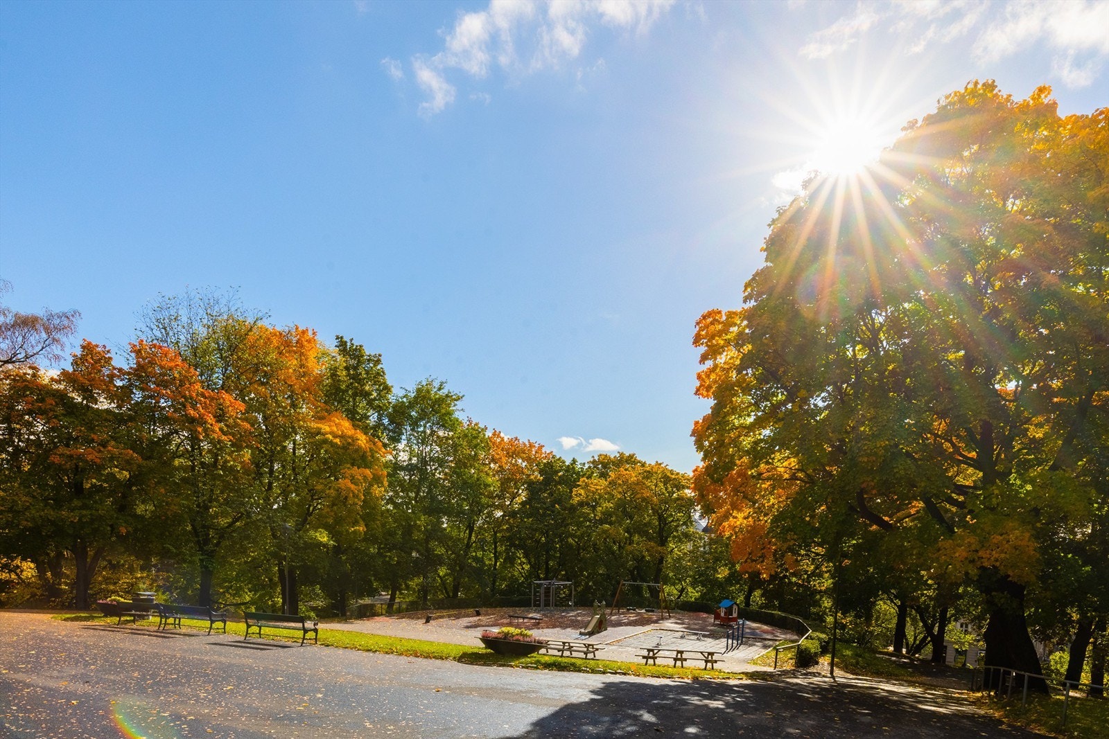 St. Hanshaugen park er en herlig park for å gå eller løpe seg en tur- både sommer og vinter. Galleribilde