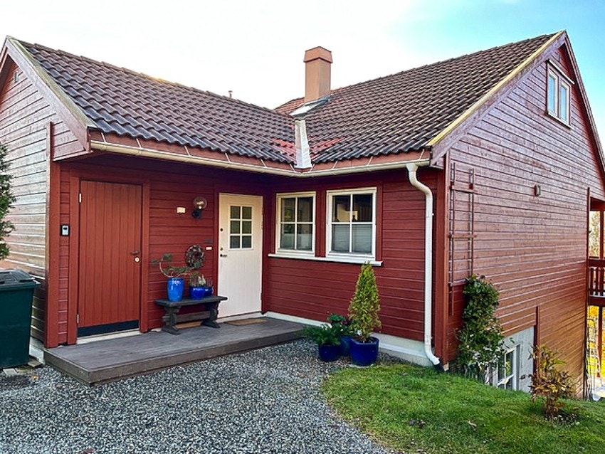 Selgers sommerbilder Galleribilde