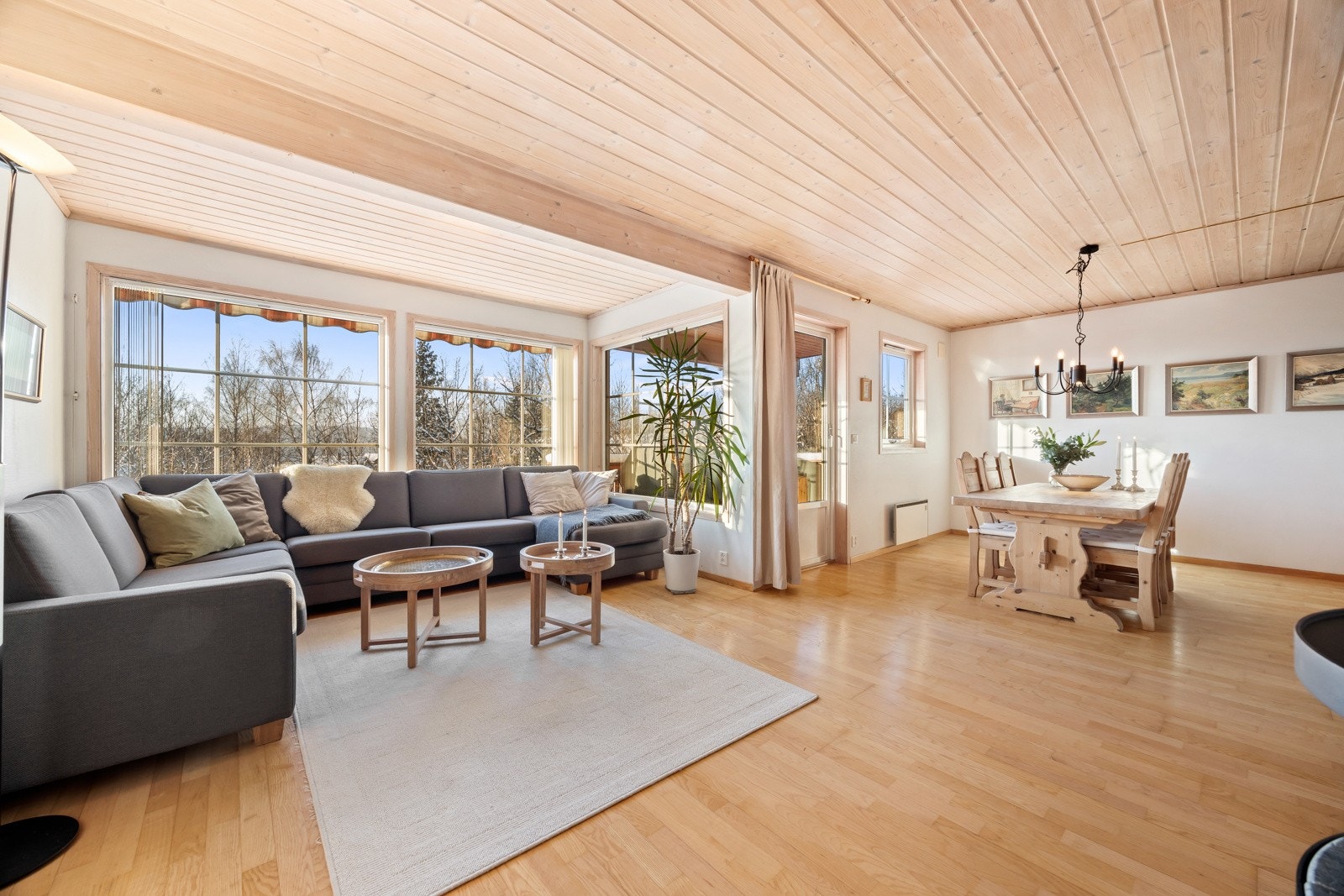 Store vinduer slipper inn godt med lys Galleribilde