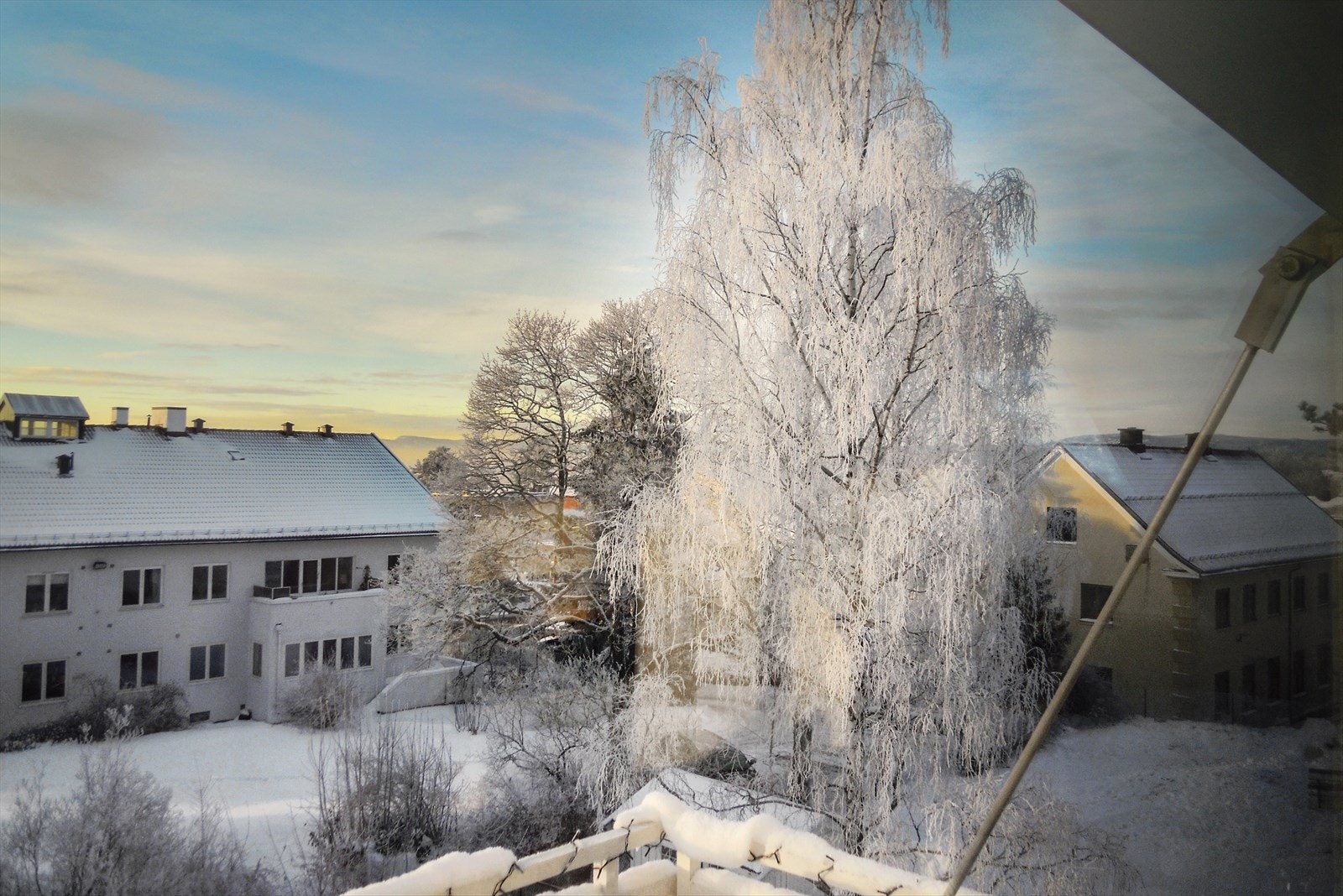 Privat bilde fra selger. Galleribilde