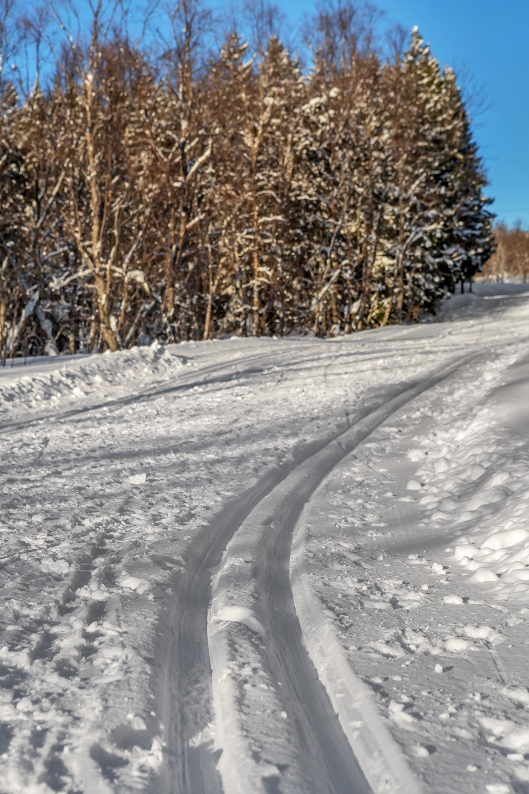Fra boligen er det kun kort veg til fantastiske skispor i Tromsømarka Galleribilde