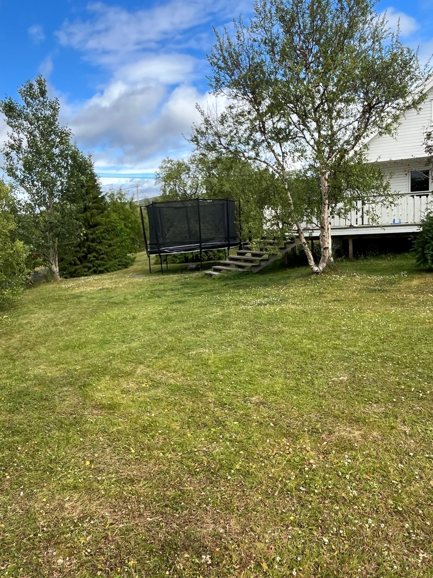 Hage mot terasse. Galleribilde