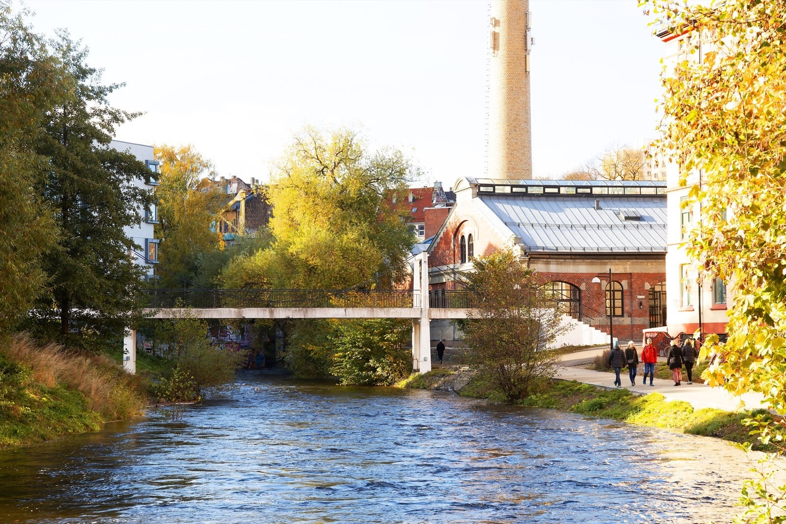 Områdebilde. Galleribilde