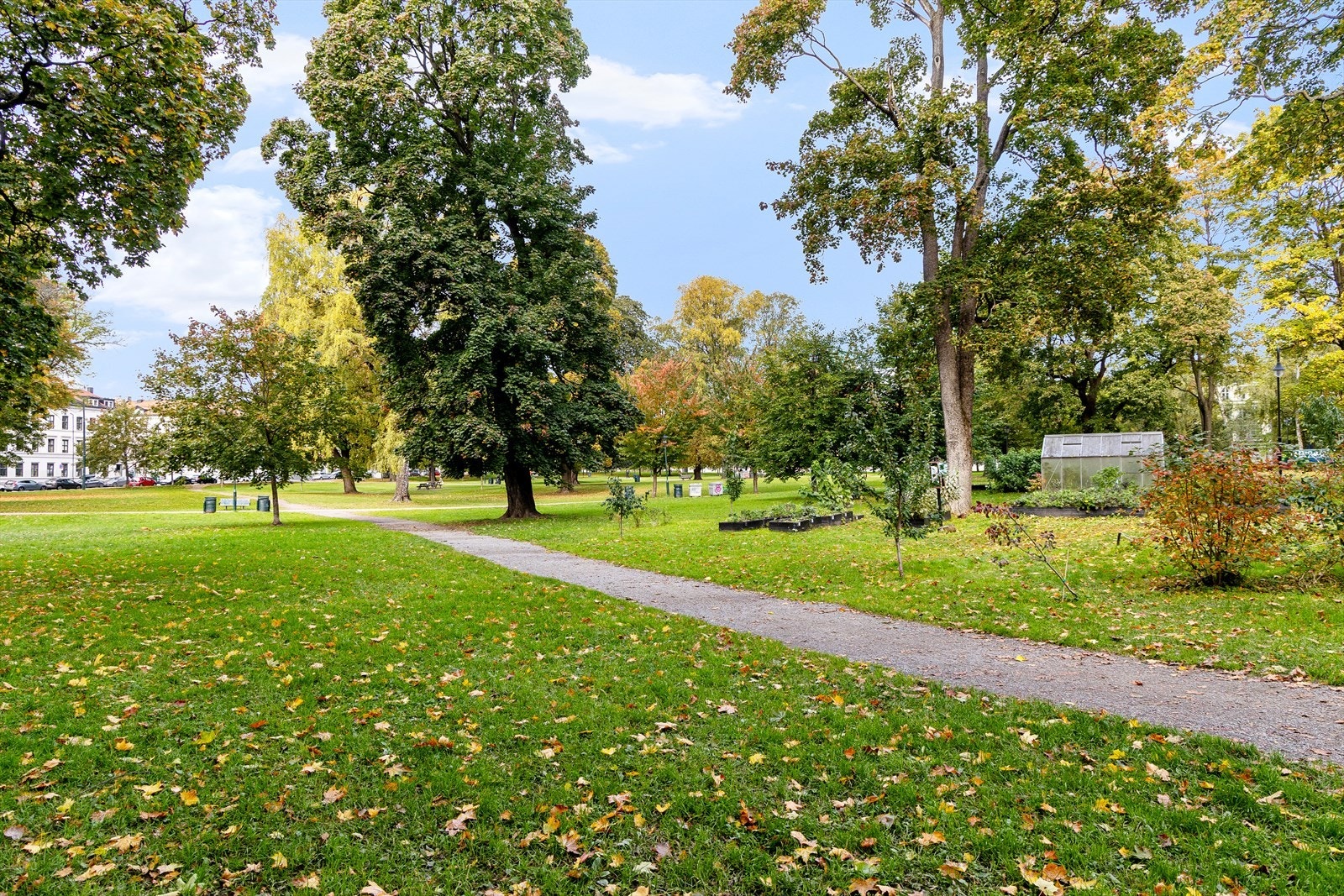 Områdebilde. Galleribilde