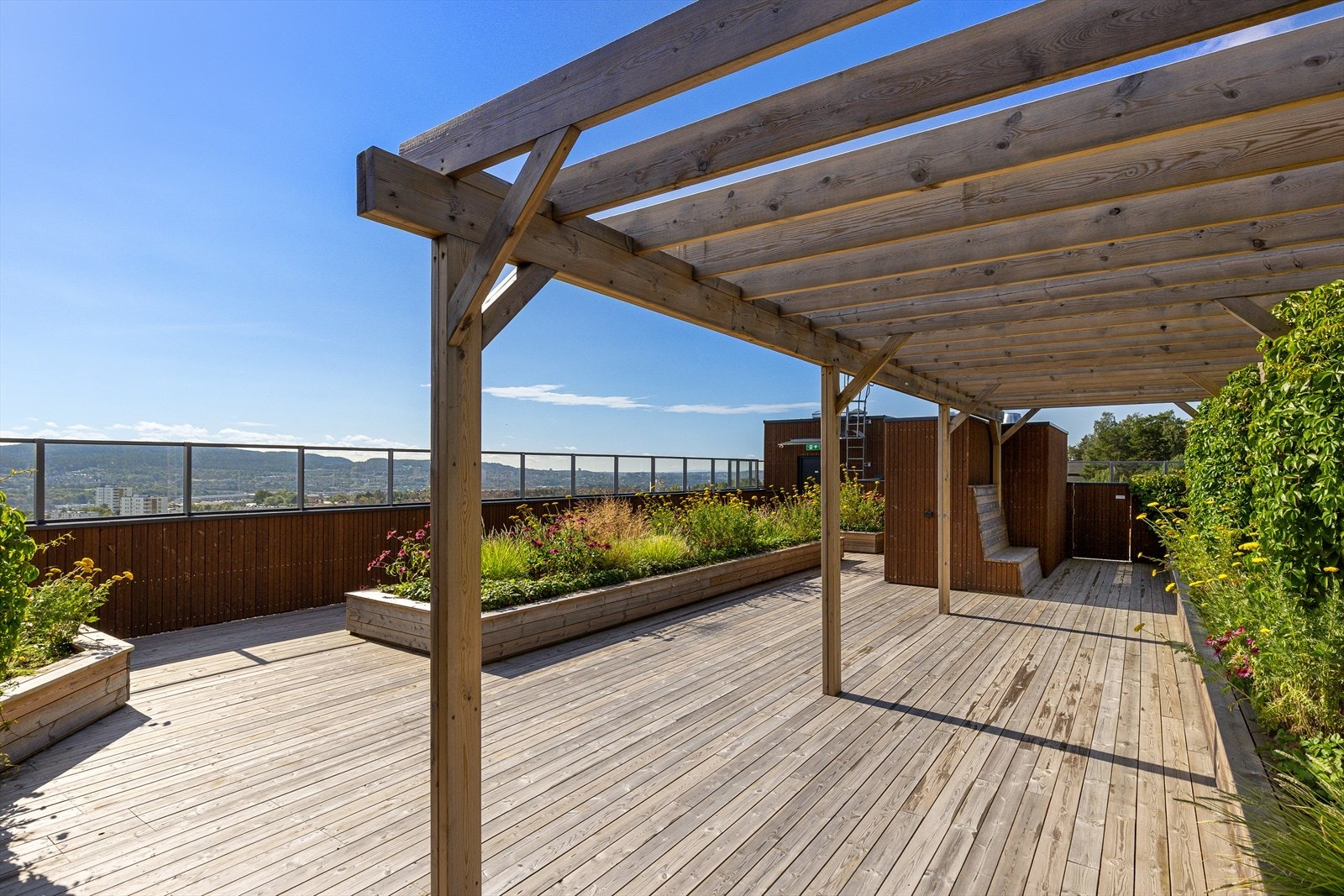 Flott felles takterrasse. Galleribilde