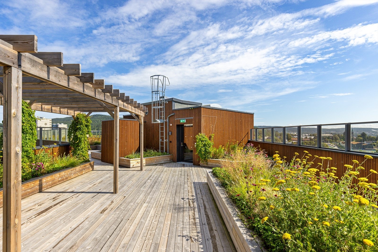 Felles takterrasse Galleribilde